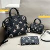 Louis Vuitton 3pcs Set